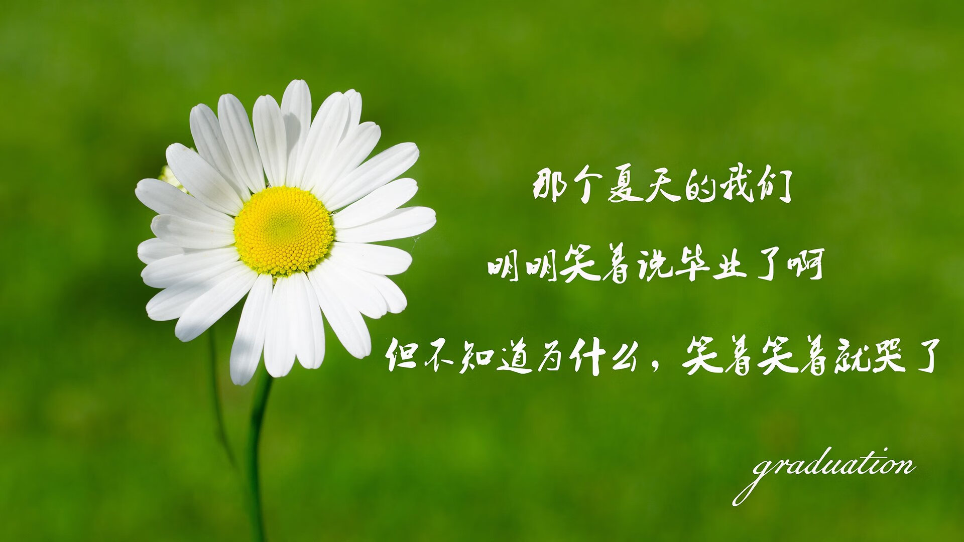 开云·体育官网APP下载-未来之星盘点：从青训到一线的精彩转变，未来之星下一句是什么合适