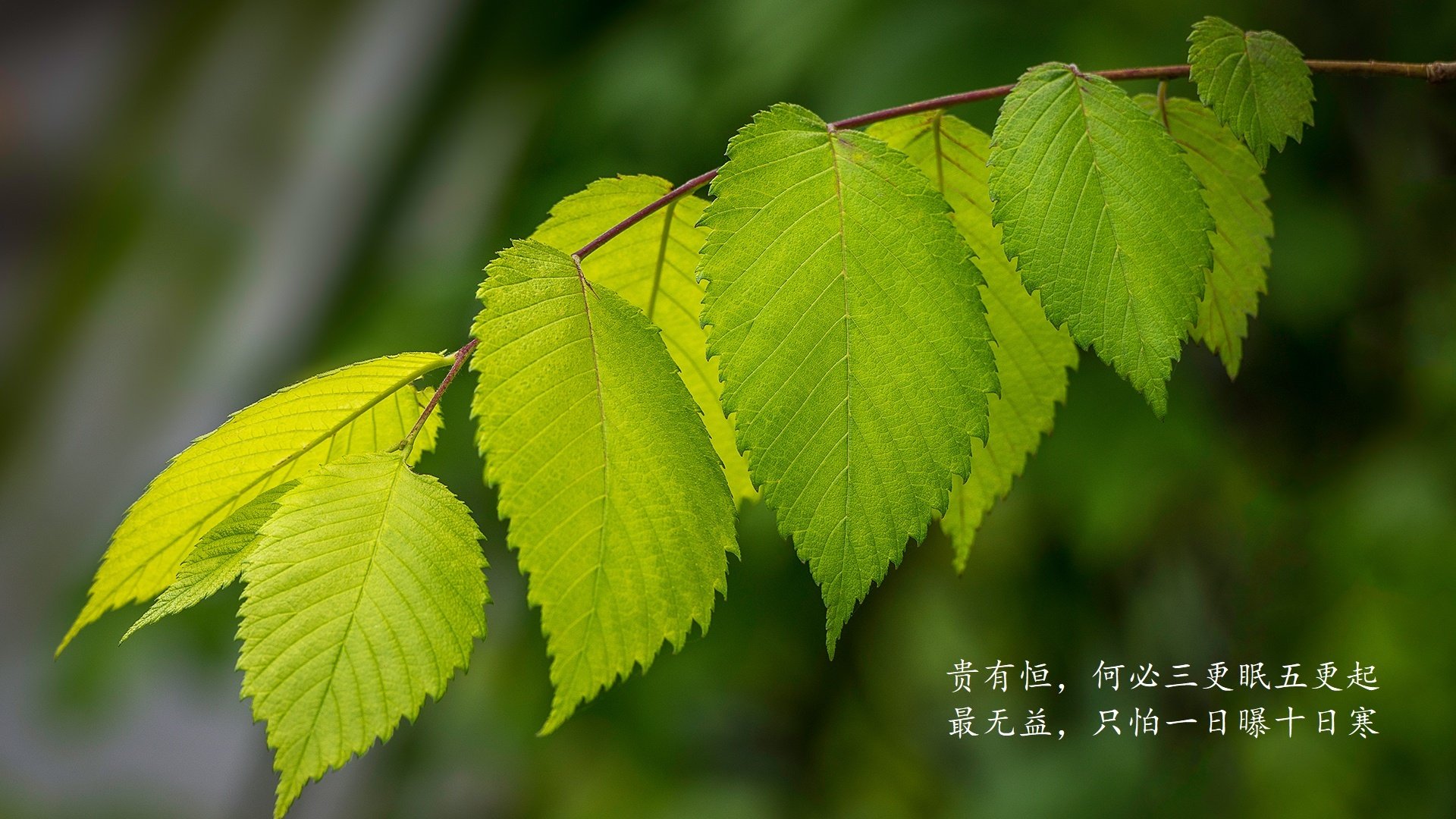 开云体育APP下载-世界联赛战况扑朔迷离，悬念不断，世界联赛比赛时间表