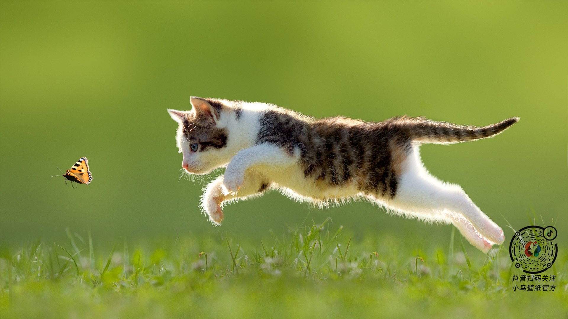 开云官网APP下载-门将是否逐渐成为球队控球节奏第一发起点，门将控球规则