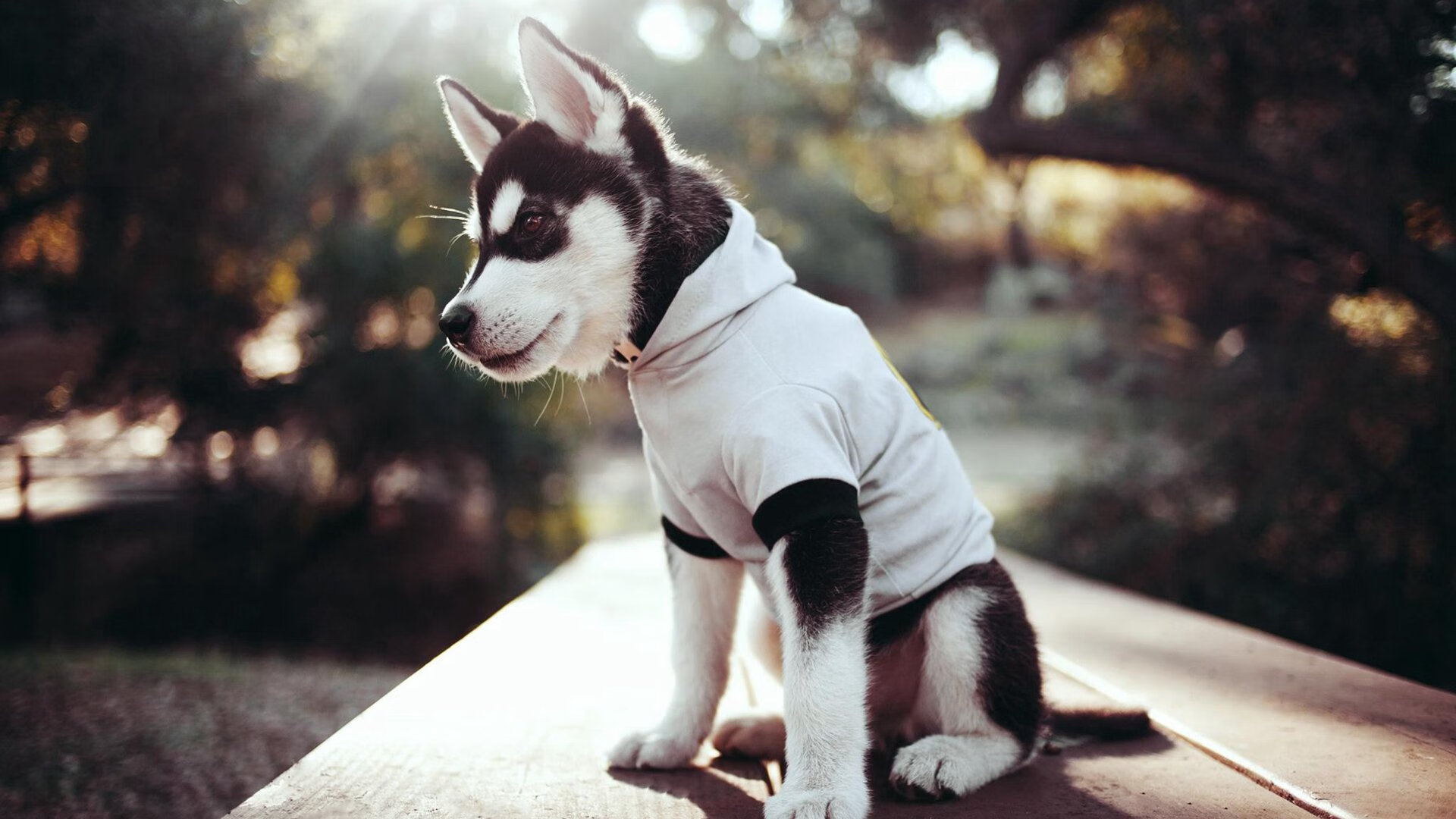 kaiyun中国官方网站-中甲俱乐部建立文体融合机制打造多维运营模式，中甲俱乐部运营费用