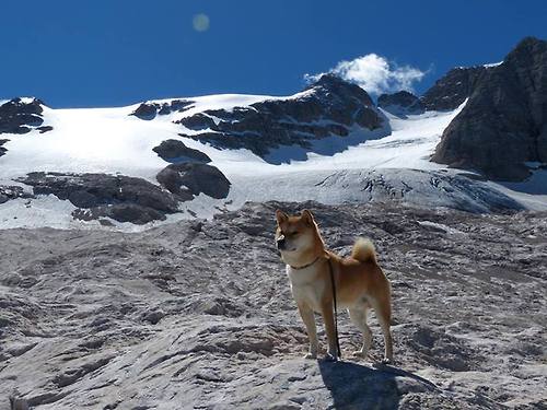 kaiyun网站-体育新闻中心科技助力体育，科技助力体育训练