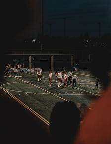 开云网页版登录入口-新西兰全黑队细腻的球场控制力令人叹为观止,新西兰篮球队队员名单