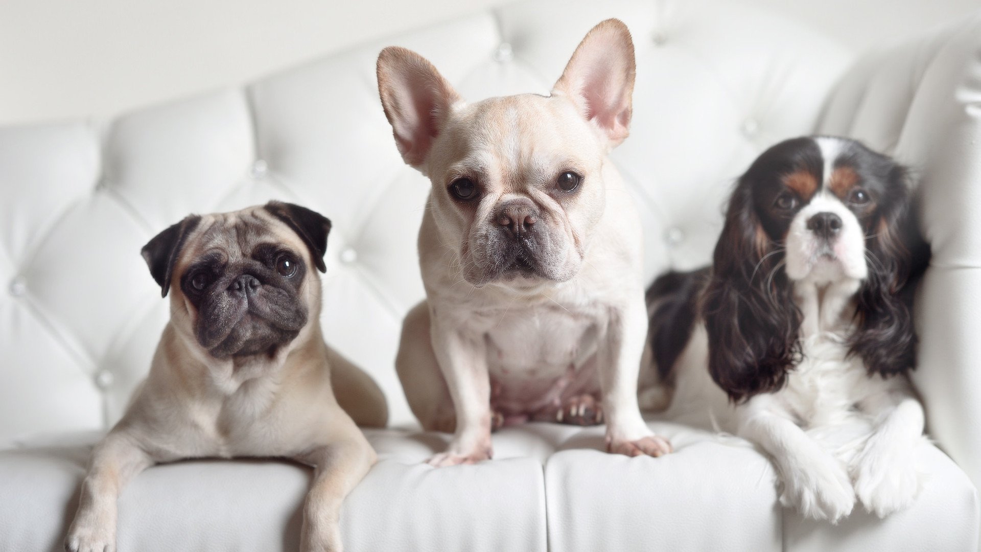 开云入口-曼联主帅赛后称赞年轻球员表现，曼联最年轻的队长