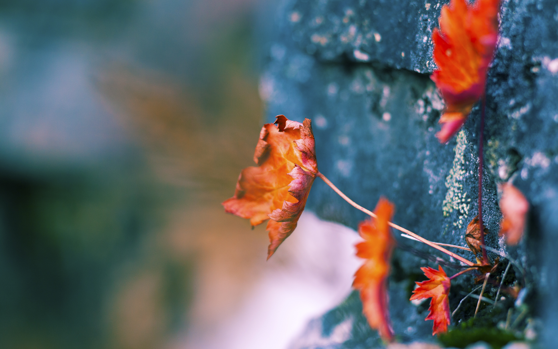 kaiyun体育综合-梅尔滕斯与对手展开长距离拉锯战,梅尔滕斯定理的证明