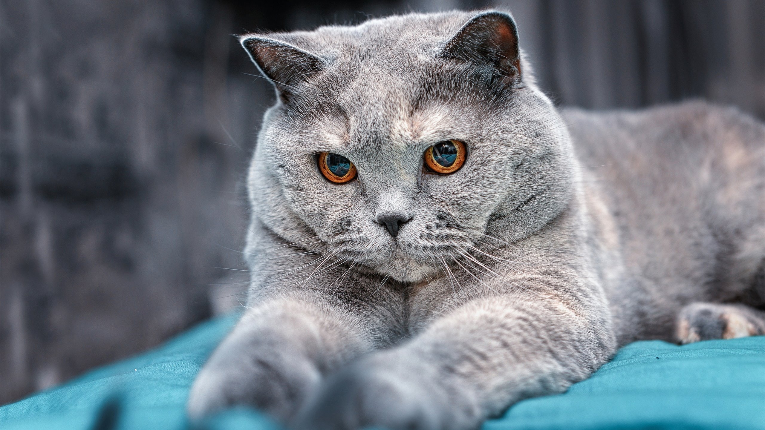 kaiyun体育综合-梅尔滕斯与对手展开长距离拉锯战,梅尔滕斯定理的证明