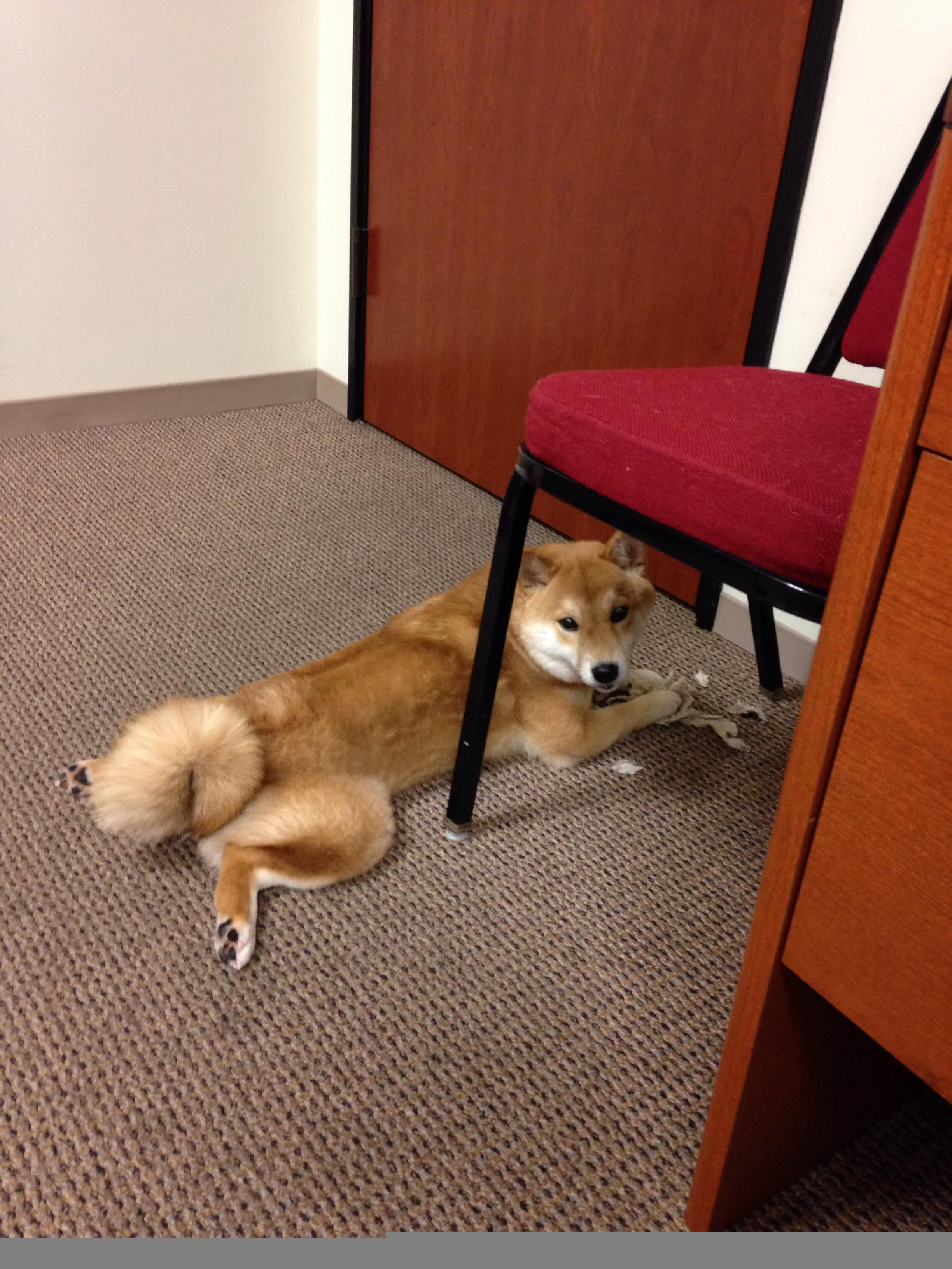 开云体育-特色足球运动在边远地区农村中逐步普及，促进地区平衡发展，足球特色学校主题绘画