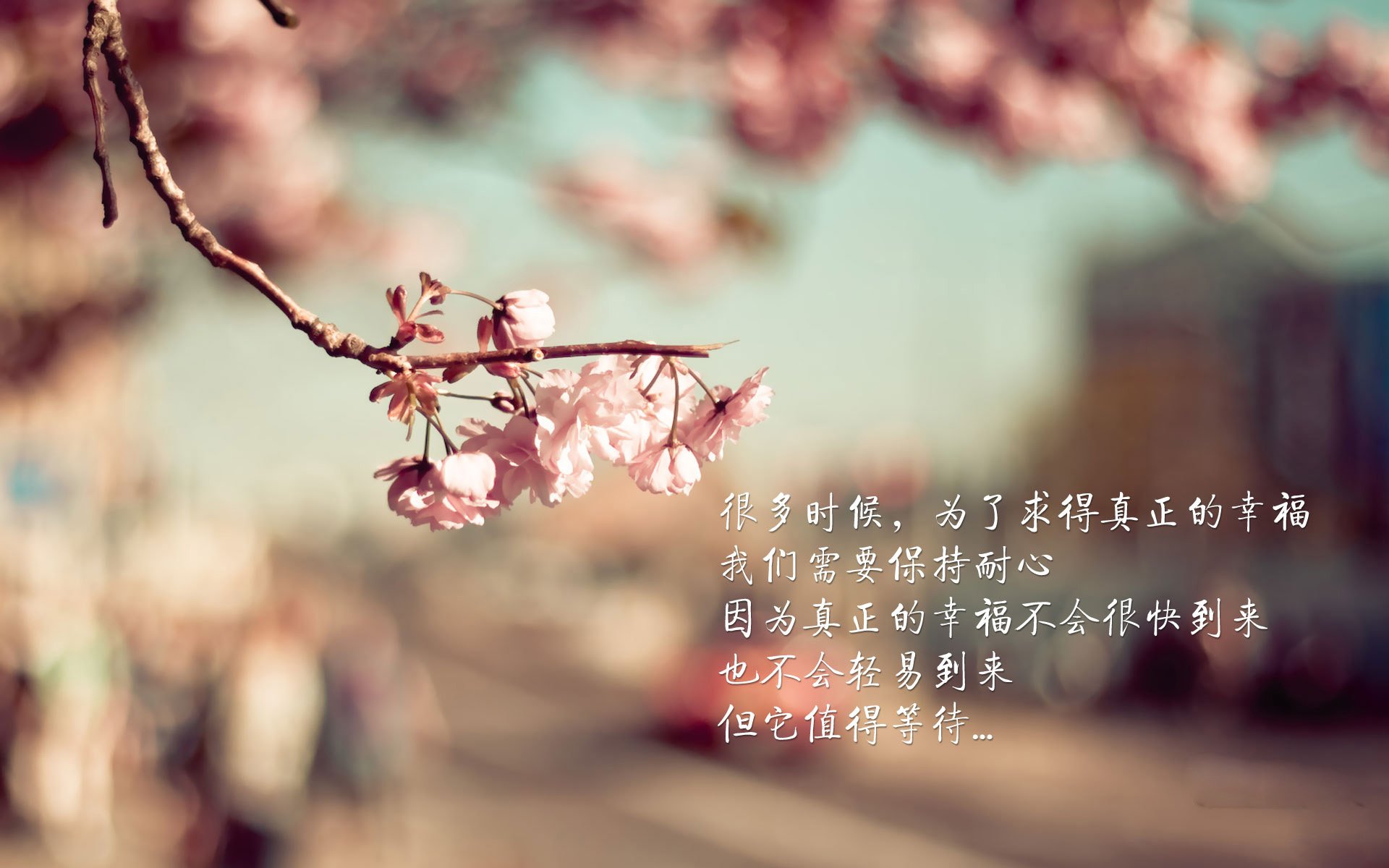 kaiyun网站-篮球教练员资格认证体系逐步完善提升教练队伍专业水平，篮球教练员证书