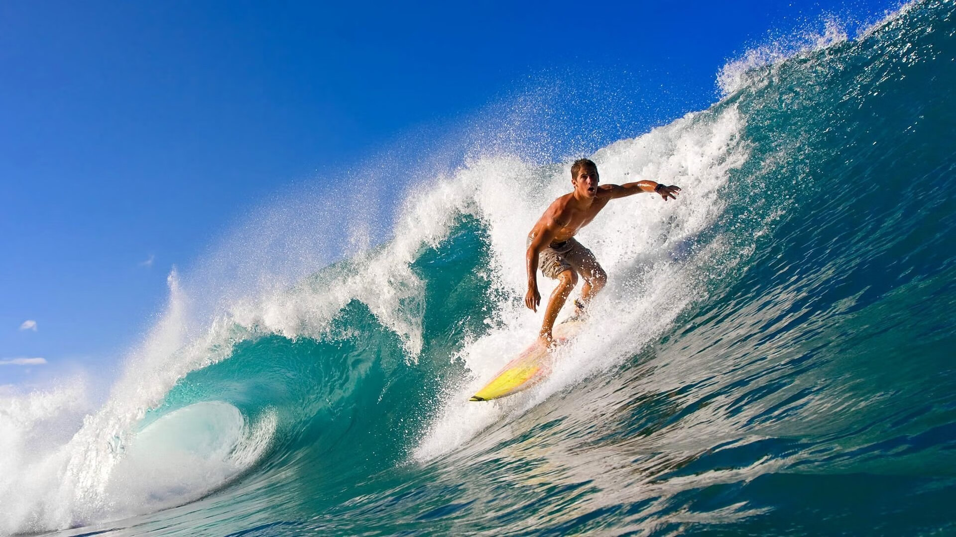 青训“工厂”+“孵化器”模式在行业内点燃创新火花，孵化器培训活动策划